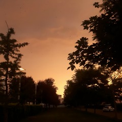 Ece - Ay Tenli Kadın (Ufuk Beydemir)