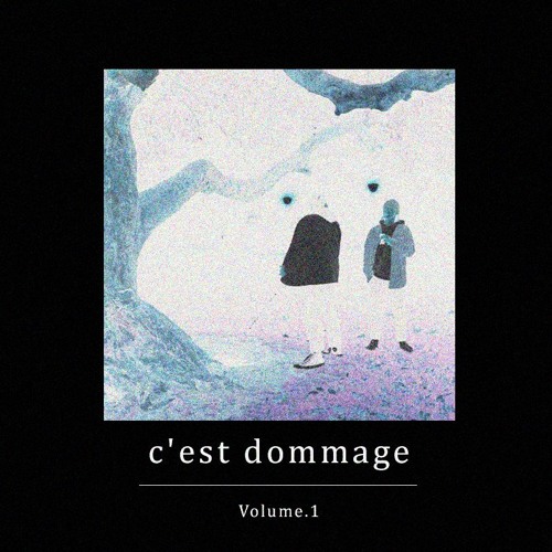 Stream C'est Dommage - Vol 1 by arii | Listen online for free on SoundCloud