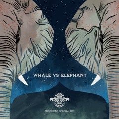 PREMIERE: Whale vs. Elephant – Lighthouse (Mollono.Bass Remix) [3000grad Special]