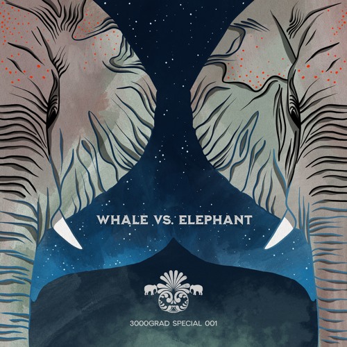 Stream PREMIERE: Whale vs. Elephant – Lighthouse (Mollono.Bass Remix