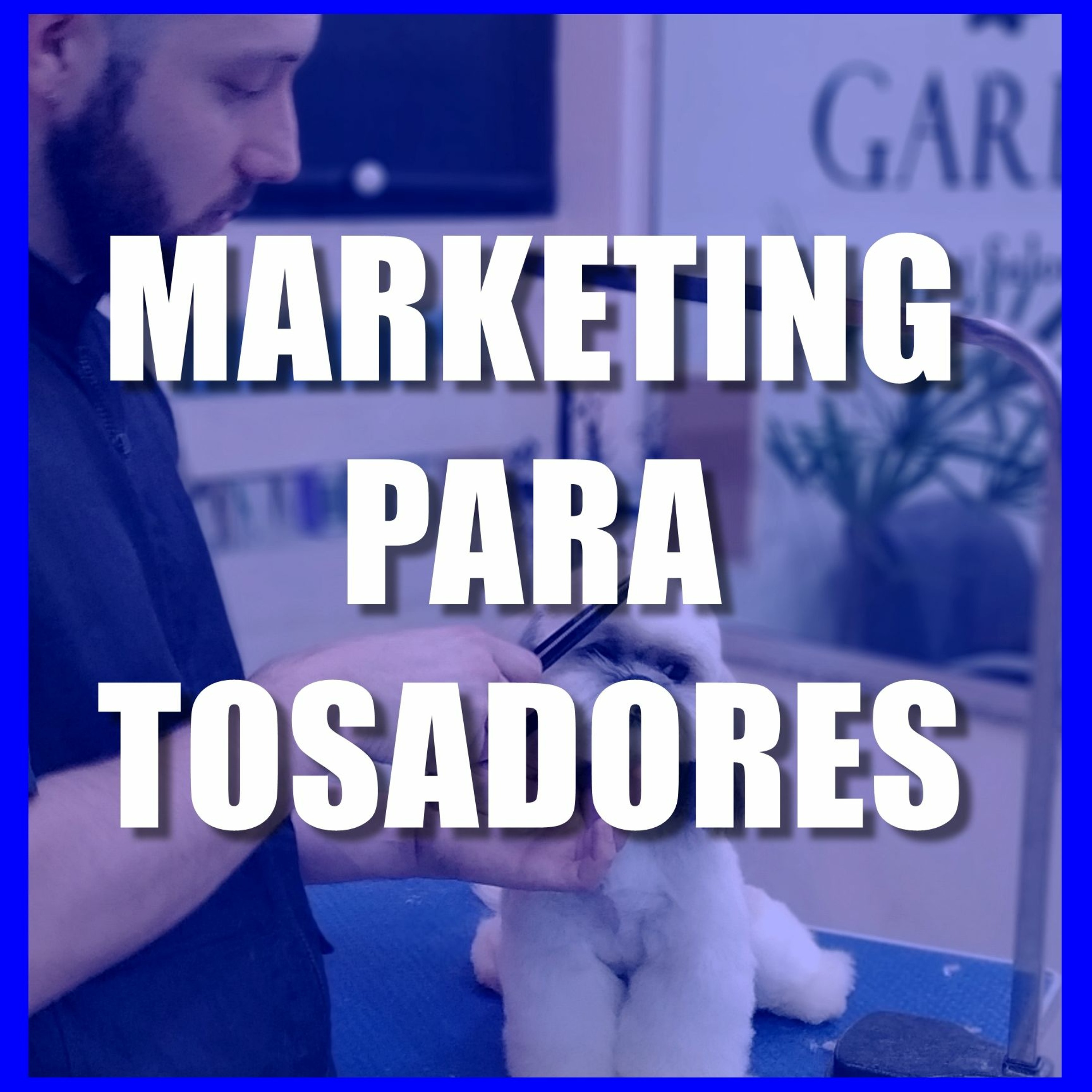 MARKETING PARA GROOMERS episode artwork