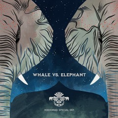 Whale vs. Elephant - Lighthouse (Mollono.Bass - Radio Edit) - 3000Grad Spezial 001