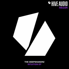 Hive Audio 104 - The Deepshakerz - Intuition