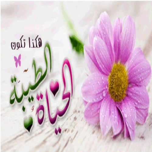 انسى همومك - الحياة الطيبة - الشنقيطي - كاملة بدون آهات - مؤثر جداً