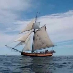 Sloop John B - Alto Tune