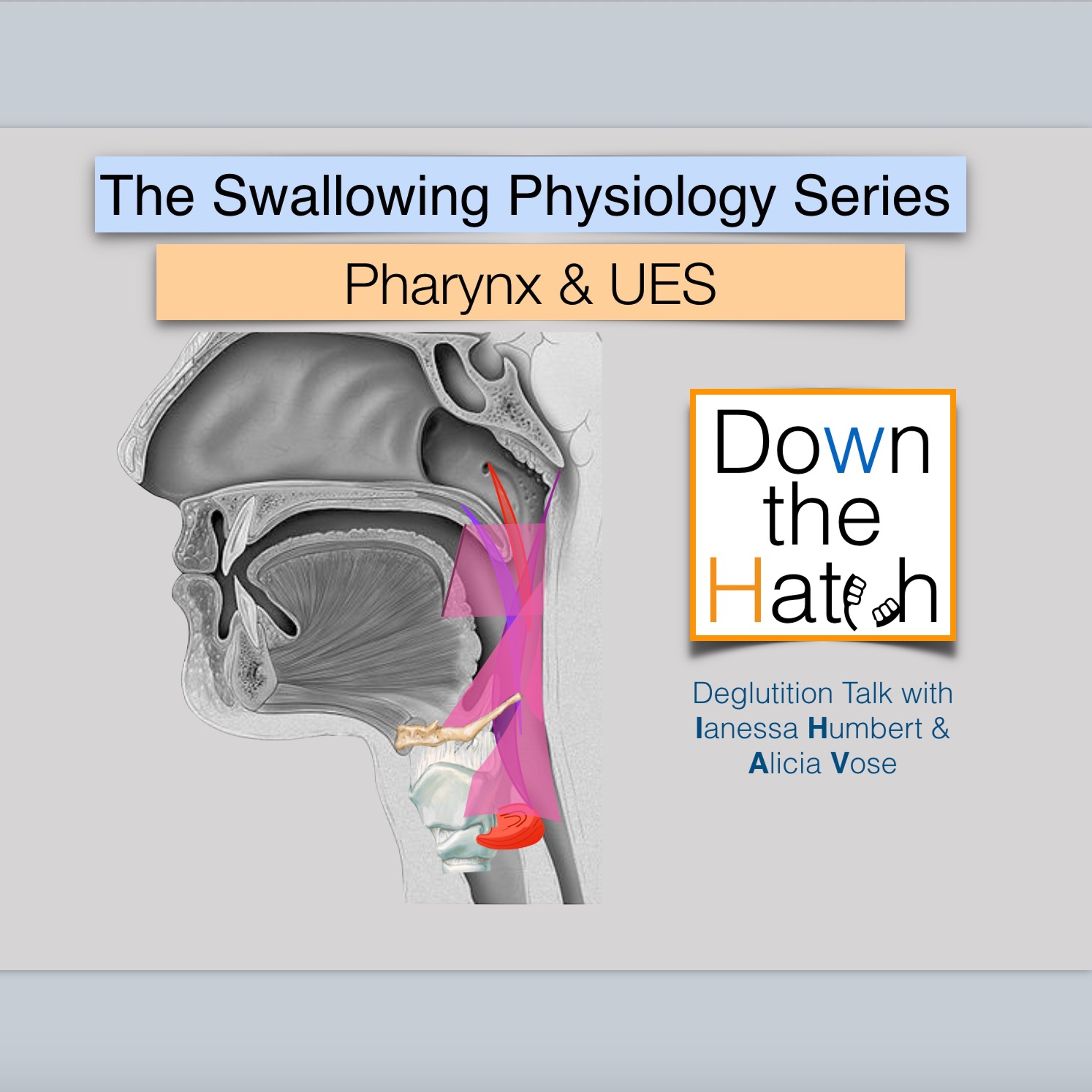 cover of episode The Swallowing Physiology Series: Pharynx and UES