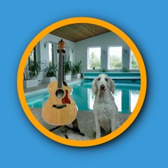 Poodle Doodle Pool Splash