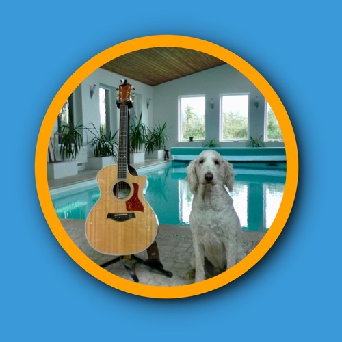 Poodle Doodle Pool Splash