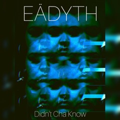 Didn't Cha Know (Erykah Badu cover)