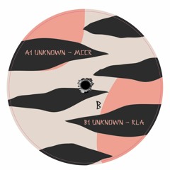 B1 Unknown - Rla Preview