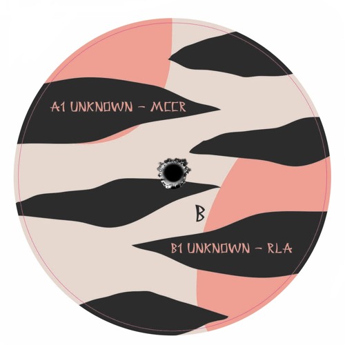 B1 Unknown - Rla Preview