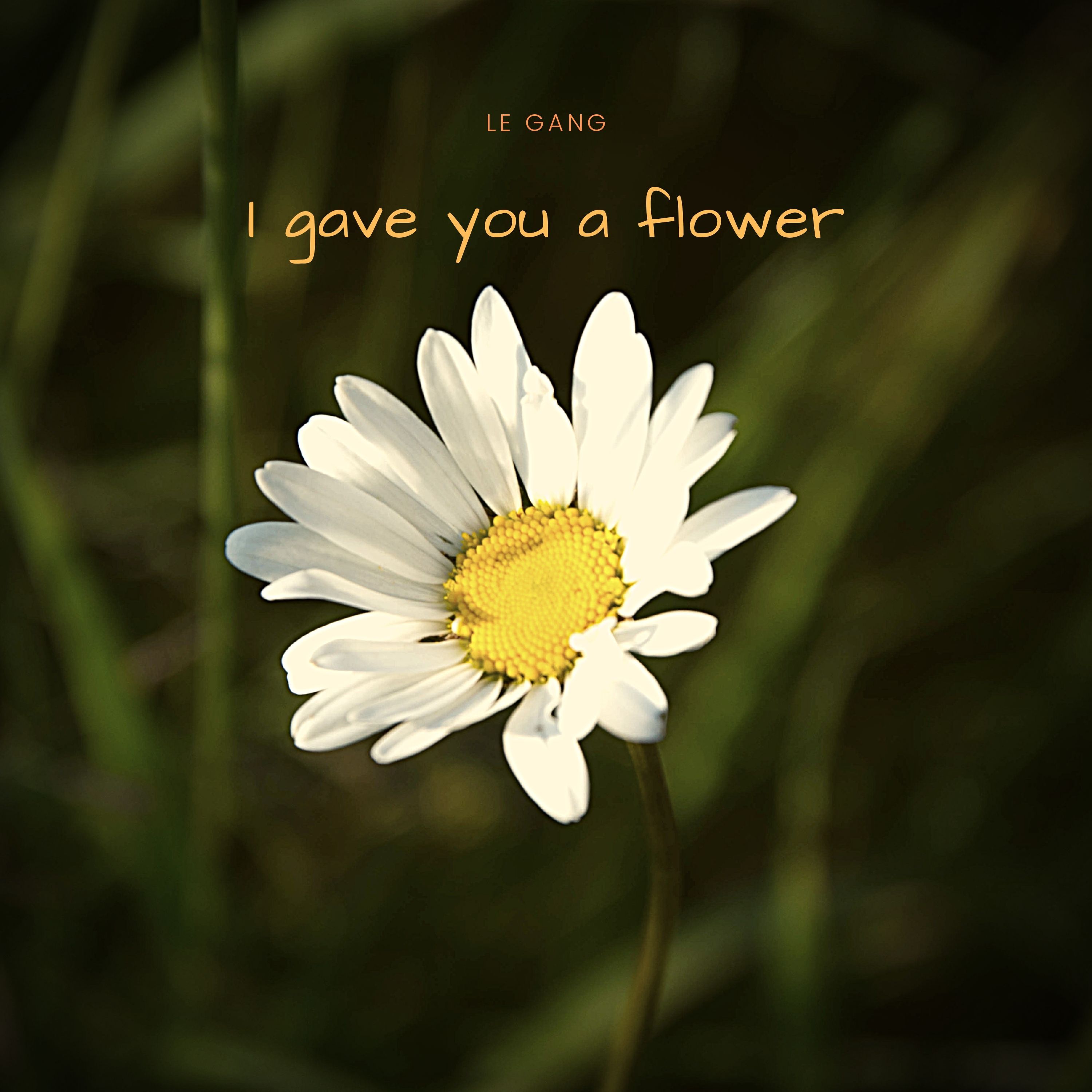 Unduh I Gave You A Flower (Free Download) [LoFi/Chill]