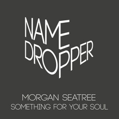 Morgan Seatree - Something For Your Soul [Name Dropper] [MI4L.com]
