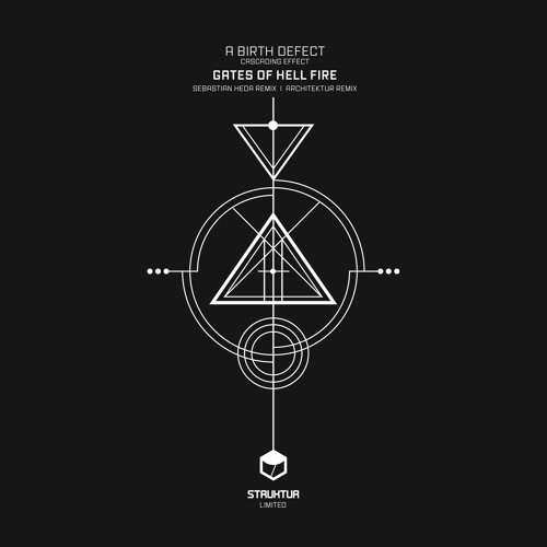 STLTD005 A Birth Defect - Monuments Of Sins (EP) Remixes By Sebastian Heda I Architektur