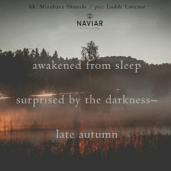 Naviarhaiku#297 /awakened from sleep