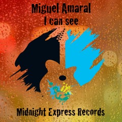 Miguel Amaral - I Can See(Carlos Mantilla remix)