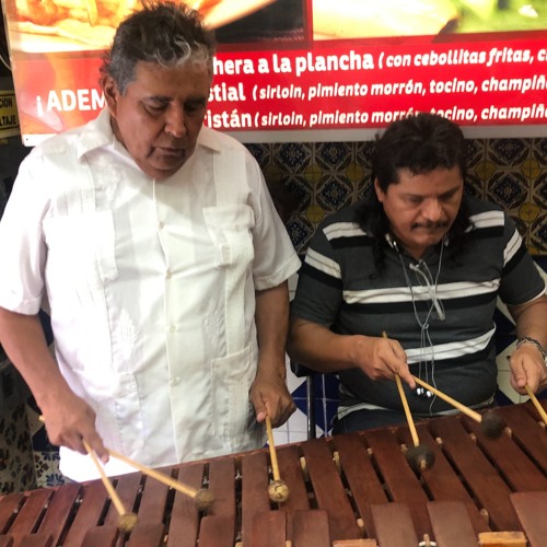 Stream Marimba Polka Monterrey (Ecos De Chiapas) by Sonidos de