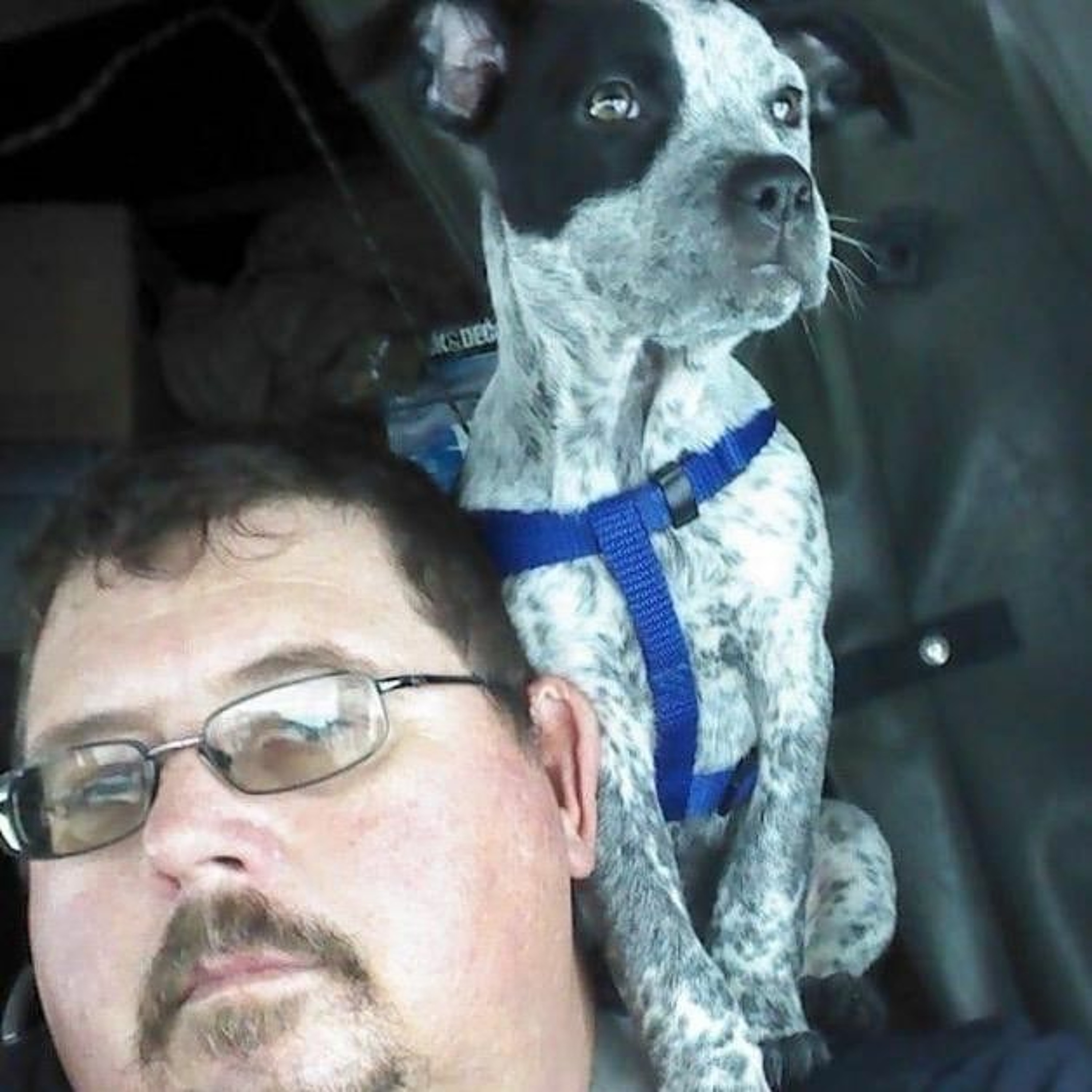 After the accident: First-responder superheroes, coping resources, first-person perspective thumbnail