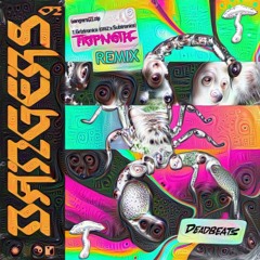 Griztronics - Griz (feat. Subtronics) [Triptonic Bootleg]