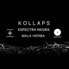 13.09 Espectra Negra @ Urban Spree [Aufnahme + Wiedergabe]