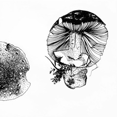 Passiflore & Champignon dans la forêt profonde
