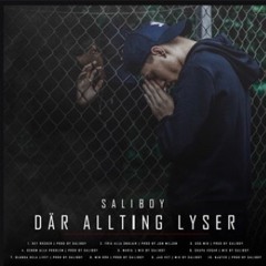 Saliboy - Skapa Vägar