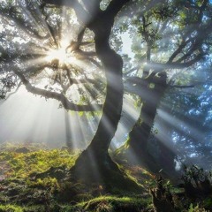 Melodic House 2  # Vinyl Mix