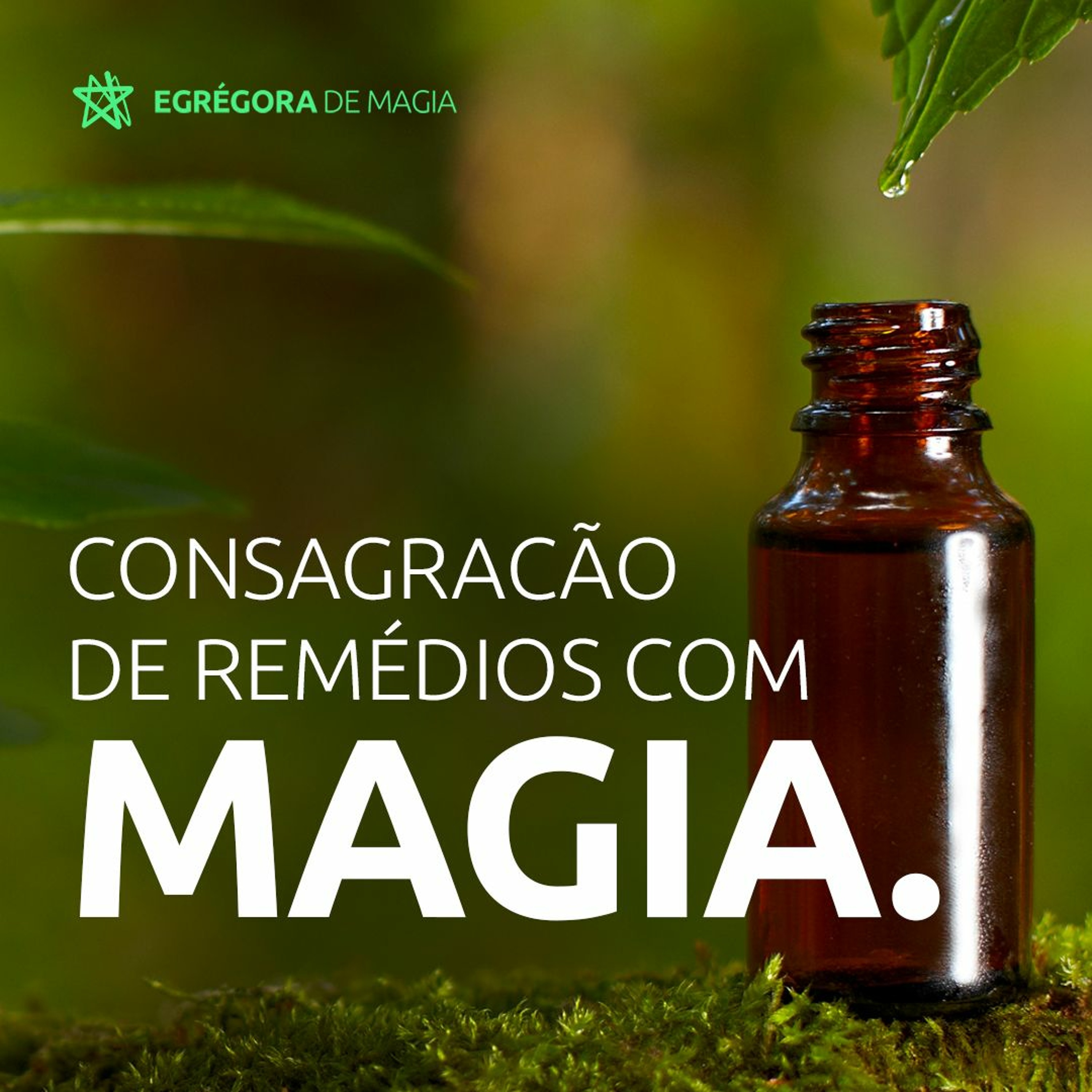 Escola De Magia