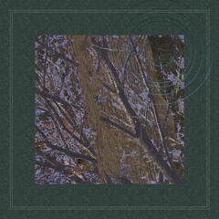 Crown Of Trees **from A GARDEN FULL OF TREES**