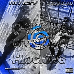 Tay 627 x Chris Èlite - Flocking