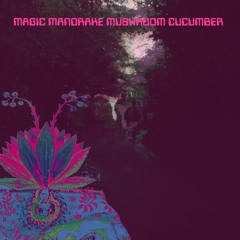 Magic Mandrake Mushroom Cucumber