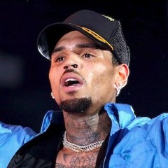 Chris Brown - Terminator