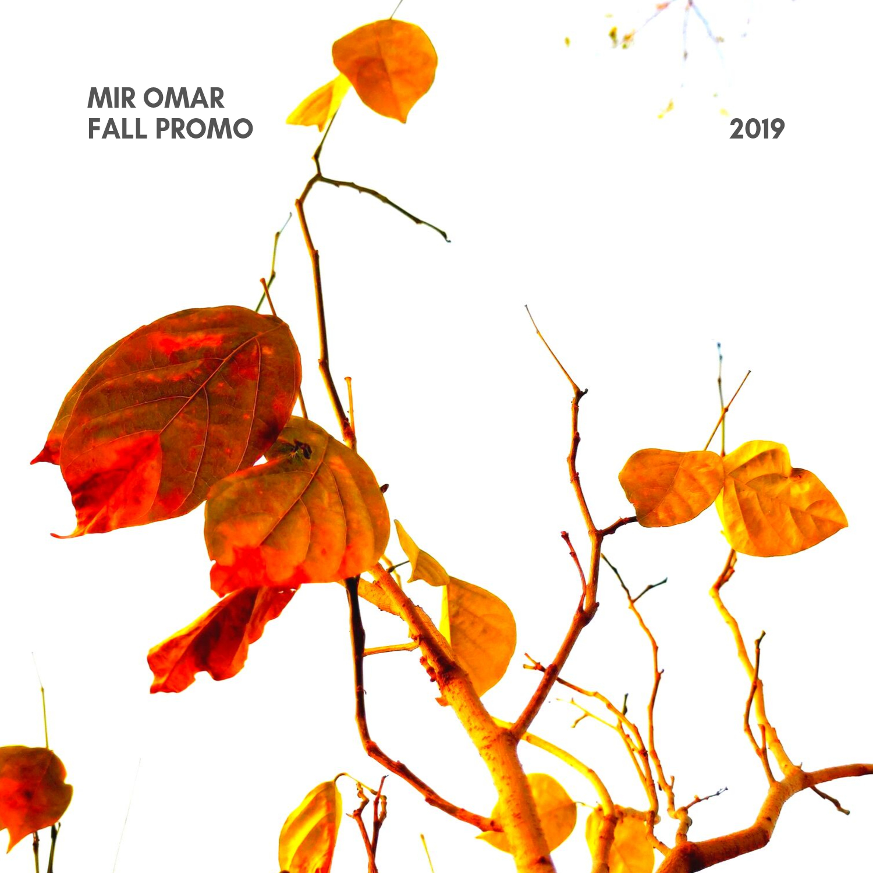 Mir Omar: Promo Mixes