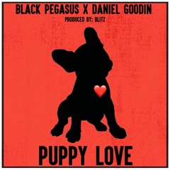 Puppy Love ft Daniel Goodin