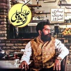 Ali Zandevakili - morghe shab | علی زندوکیلی مرغ شب