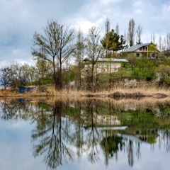 Sepideh Dam-Kaveh M.Rad