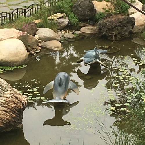 짝짓기