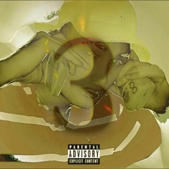 Flecks - Lil Bitch 3