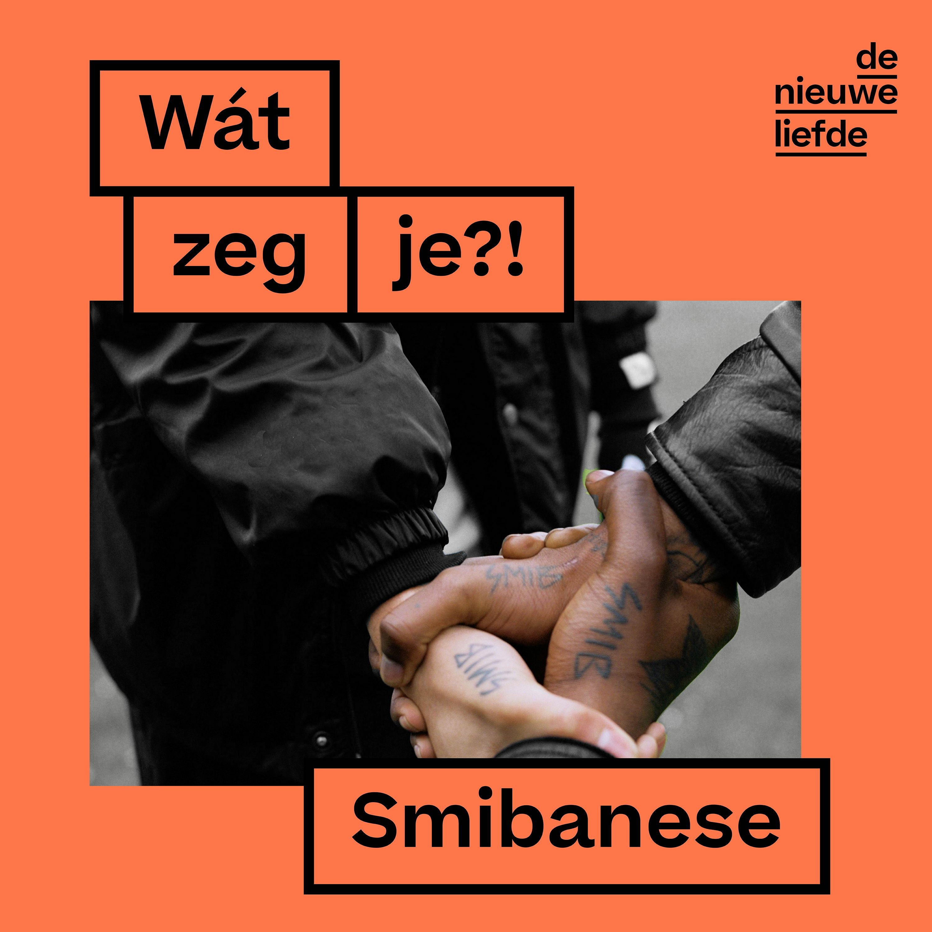 De Nieuwe Liefde