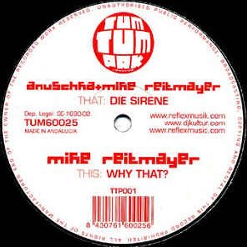 Mike Reitmayer - Why That