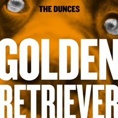 Golden Retriever (Demo) - The Dunces