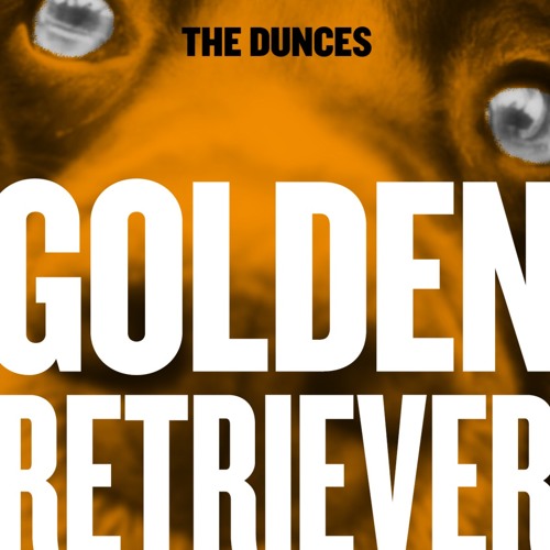 Golden Retriever (Demo) - The Dunces