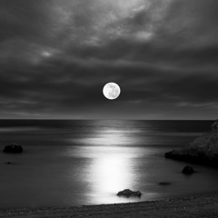 Ashot Danielyan - Moonlight Serenade