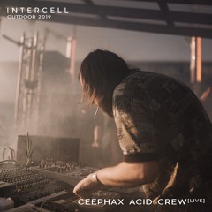 Ceephax Acid Crew [live] at Intercell Outdoor 2019