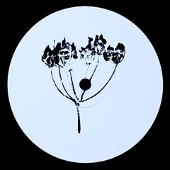01. Walk Dwell