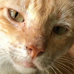 I Dont Even Know What I Should Do With My Life Anymore