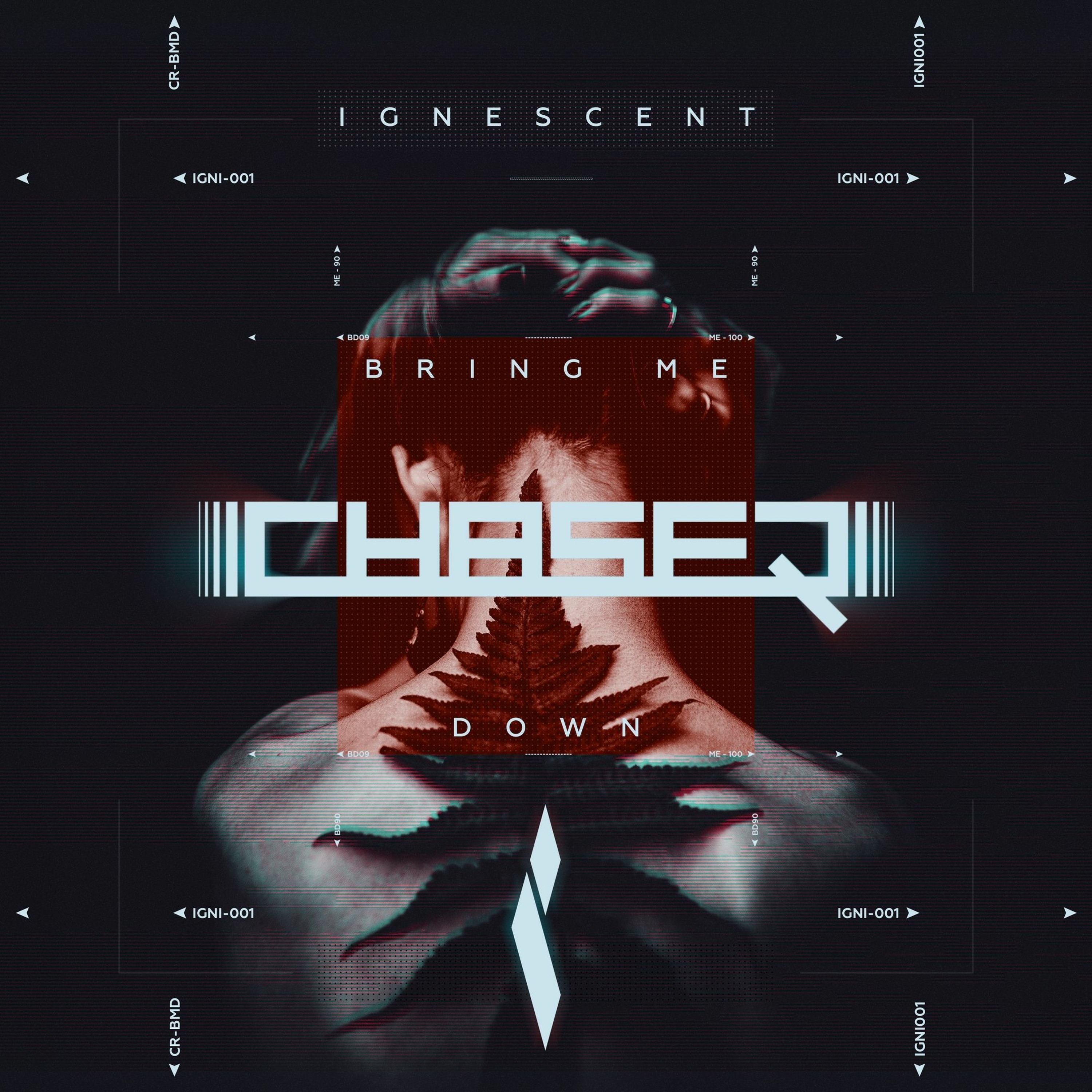 ChaseR - Bring Me Down episode artwork