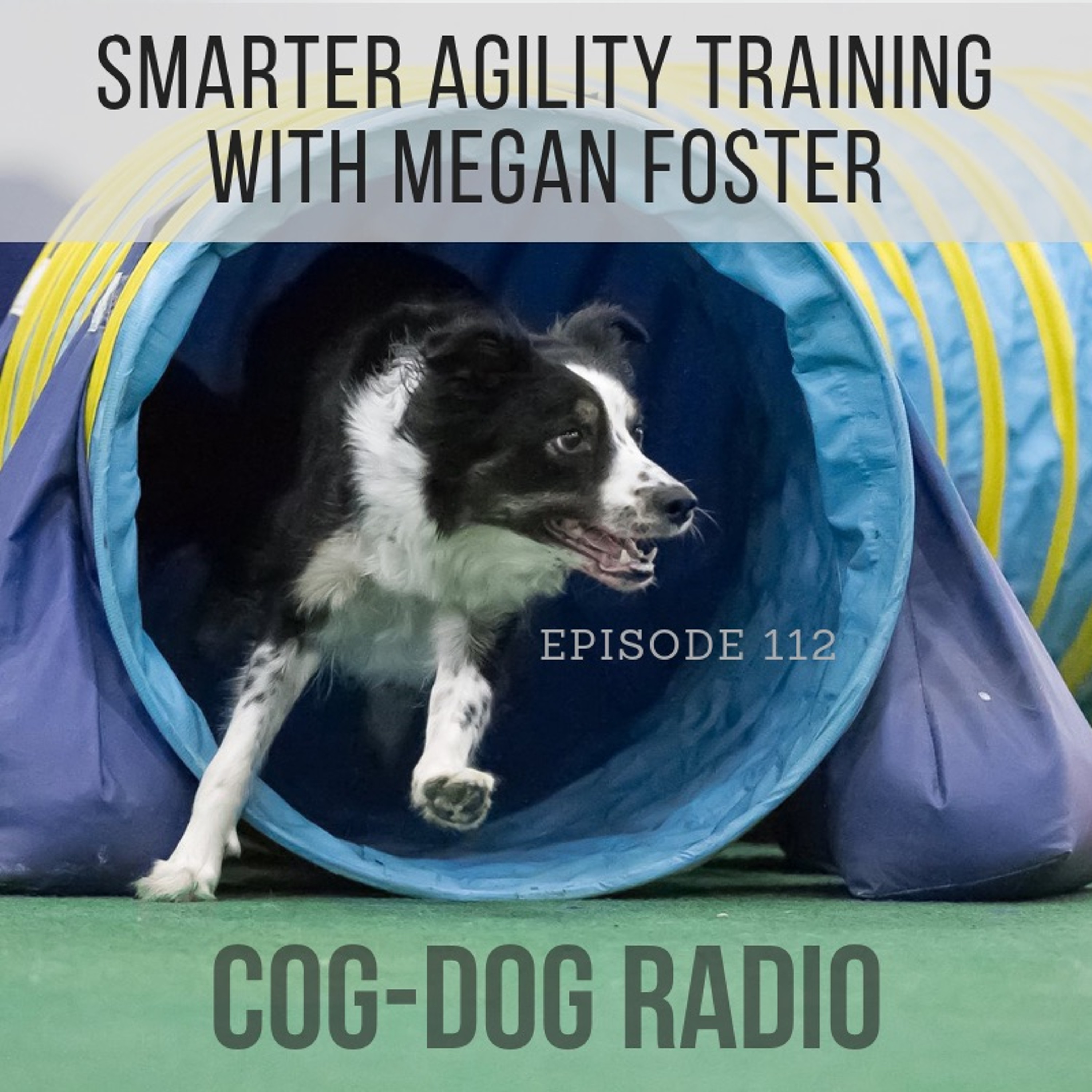 Cog-Dog Radio