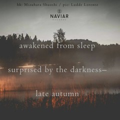 Awakened From Sleep (naviarhaiku 297)