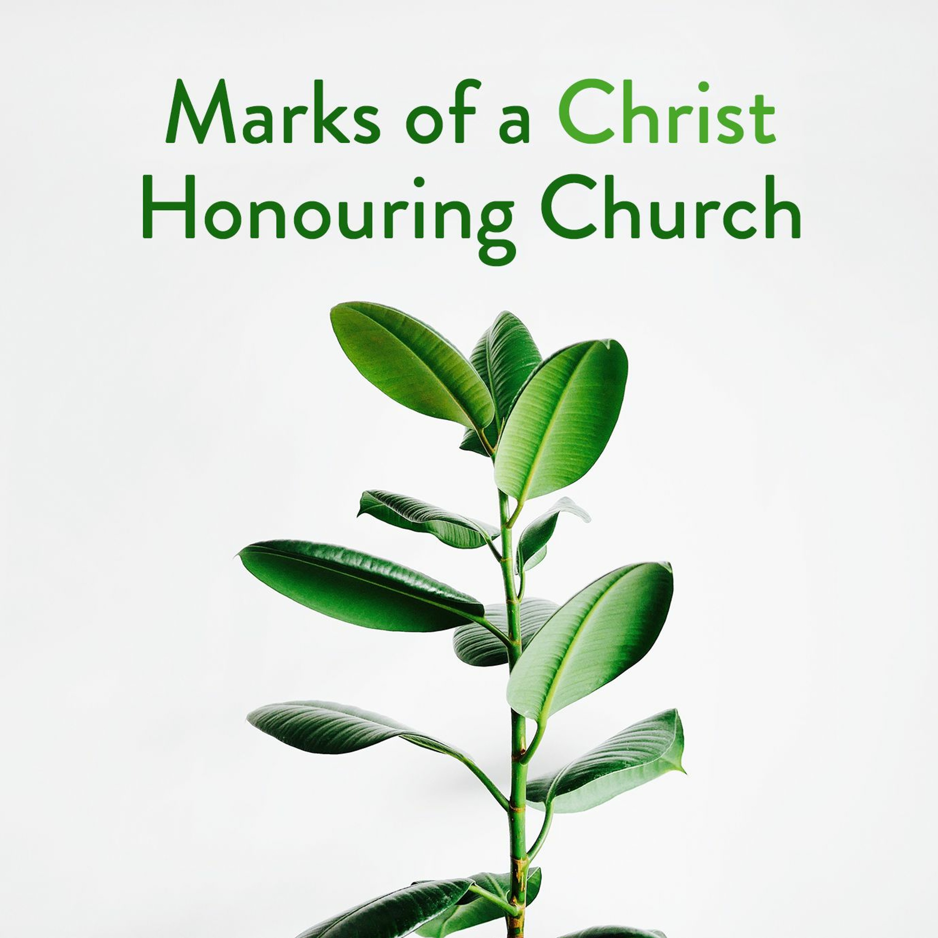 Royal York Baptist Church